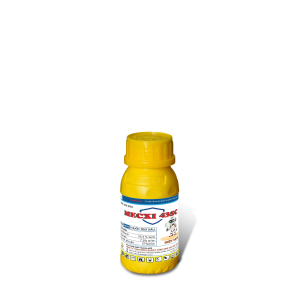 THUỐC TRỪ SÂU MECXI 43SC